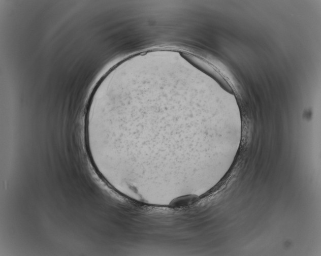 X0000097591100200803280922