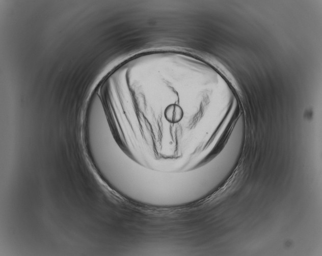 X0000097591101200803280922