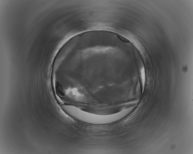 X0000097591102200803280922