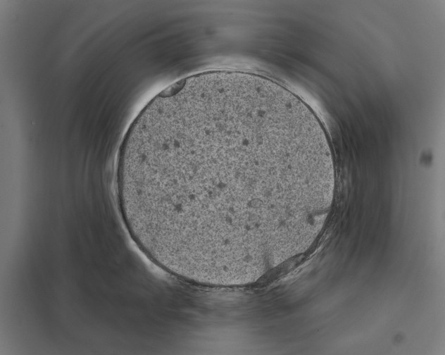 X0000097591103200803280922