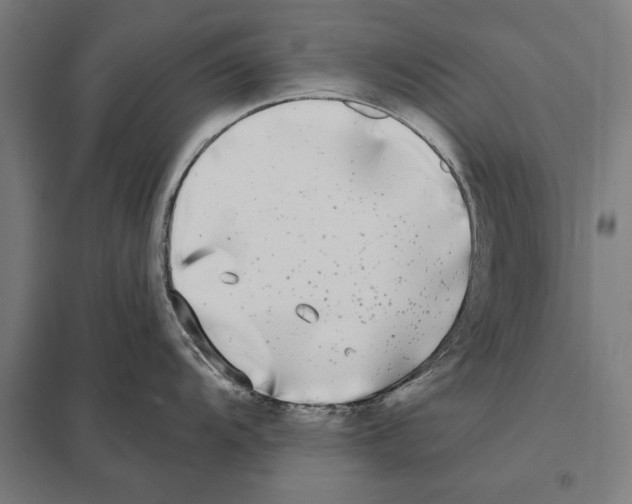 X0000097591104200803280922