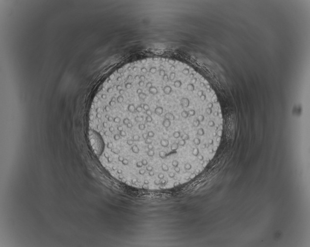 X0000097591105200803280921