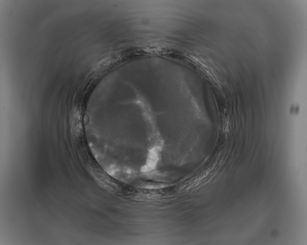 X0000097591106200803280921