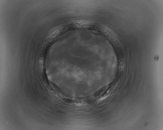 X0000097591108200803280921