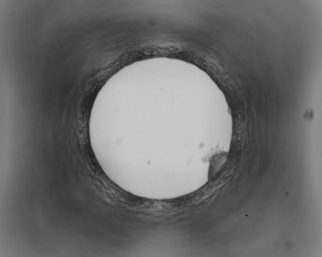 X0000097591109200803280921