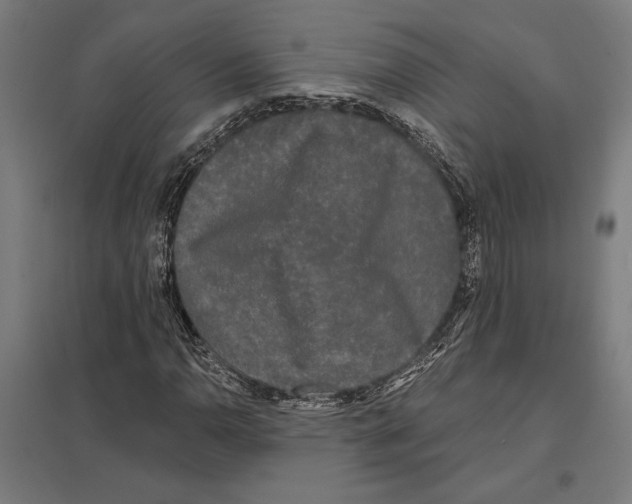 X0000097591110200803280921