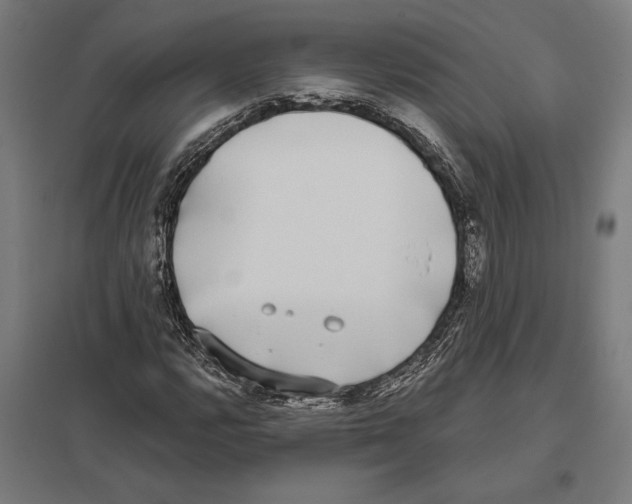 X0000097591112200803280921