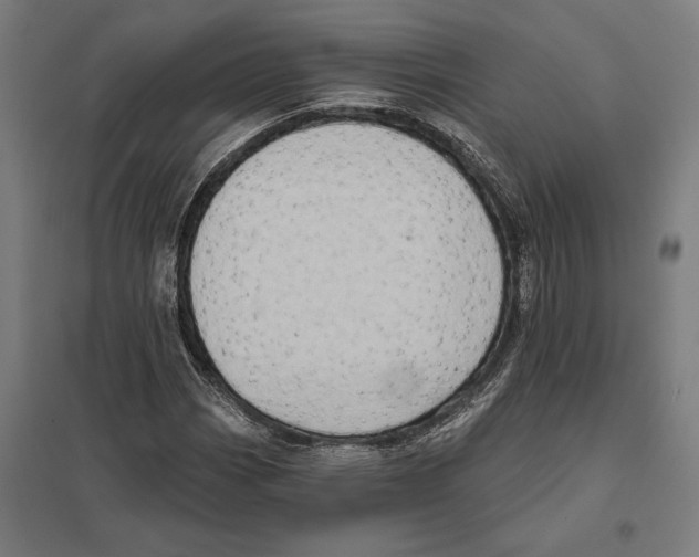 X0000097591113200803280921