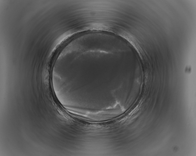 X0000097591115200803280921