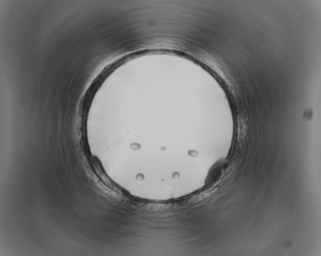 X0000097591116200803280921