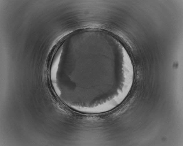 X0000097591117200803280921