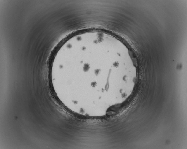 X0000097591118200803280921