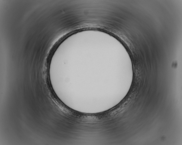 X0000097591119200803280921