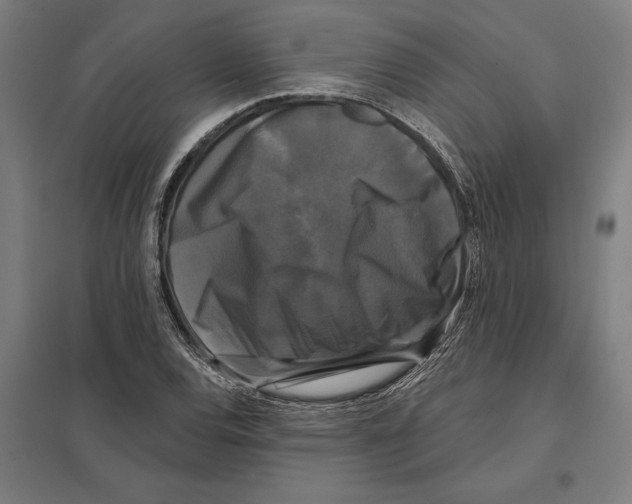 X0000097591120200803280921