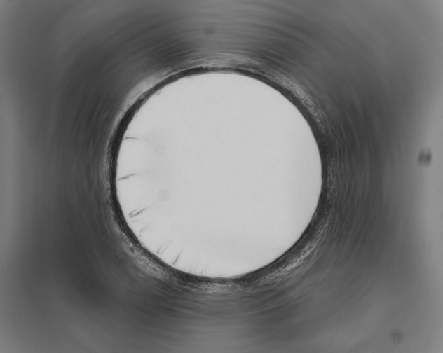 X0000097591122200803280921