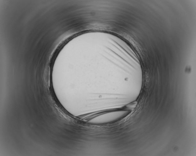 X0000097591123200803280921