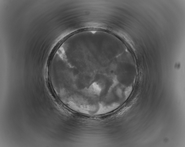 X0000097591125200803280921