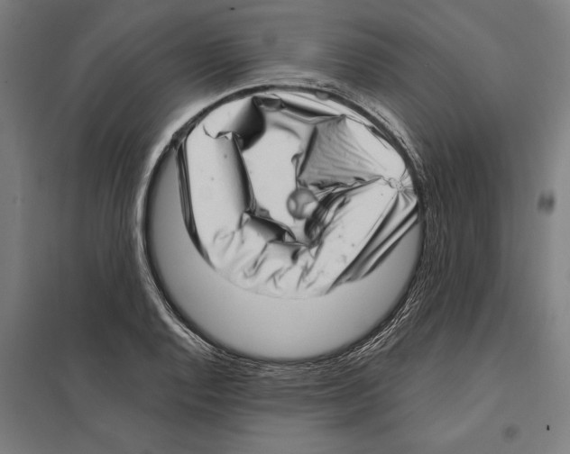 X0000097591128200803280921