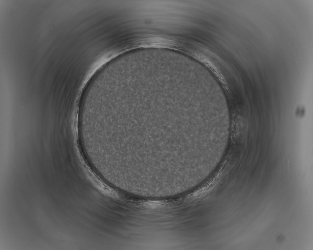 X0000097591130200803280921