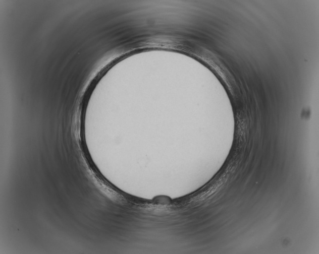 X0000097591131200803280921