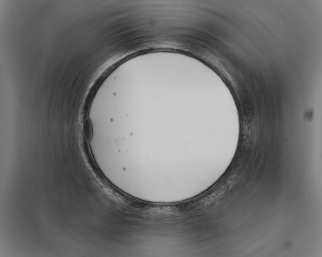 X0000097591133200803280921