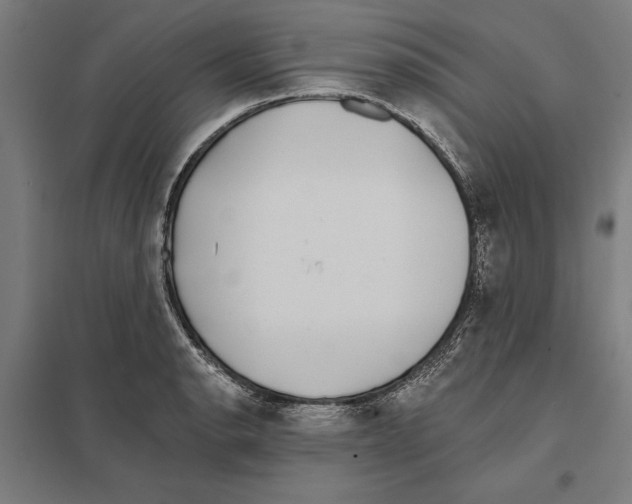 X0000097591134200803280921