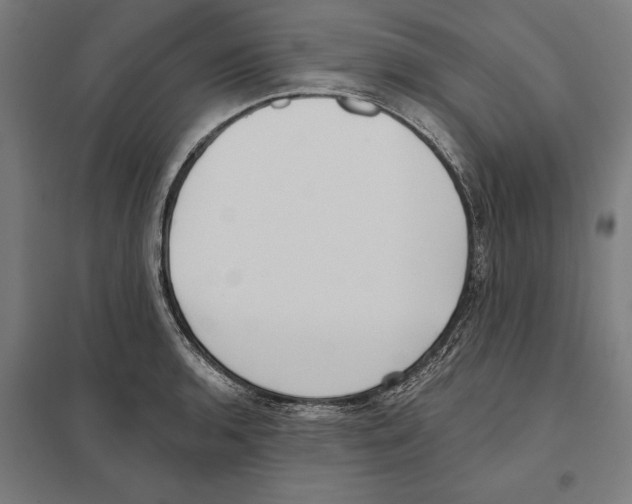 X0000097591136200803280921