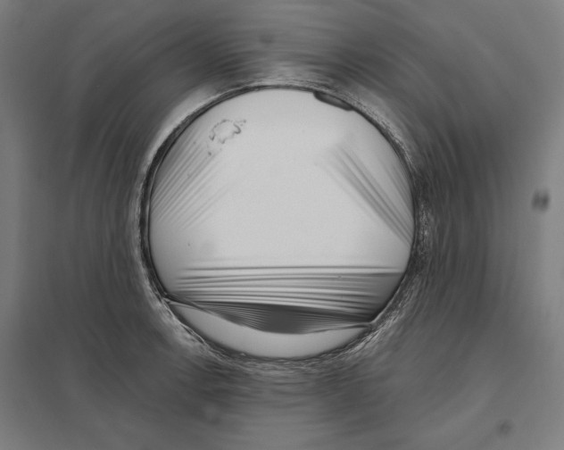 X0000097591138200803280921