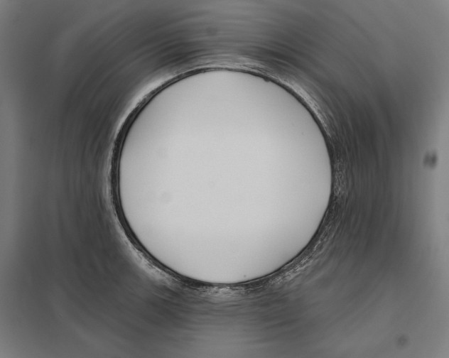 X0000097591139200803280921