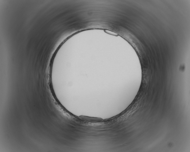 X0000097591140200803280921