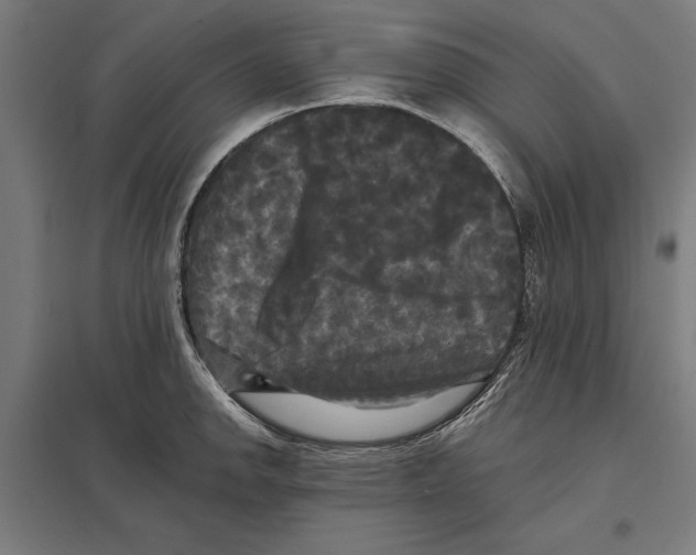 X0000097591142200803280921