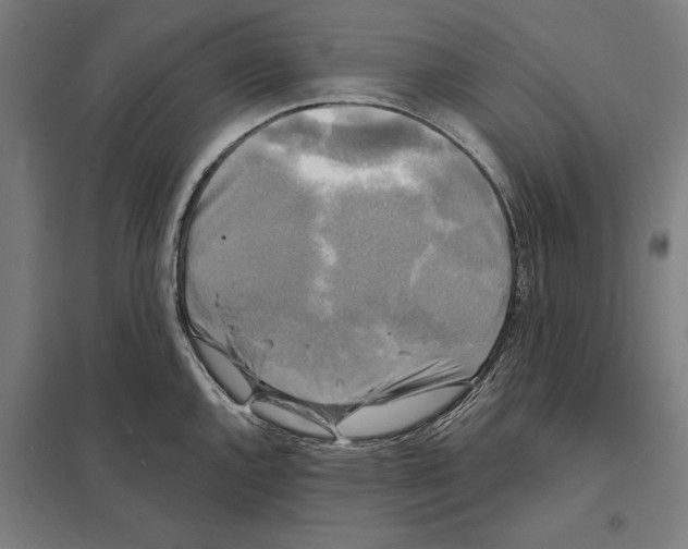 X0000097591144200803280921