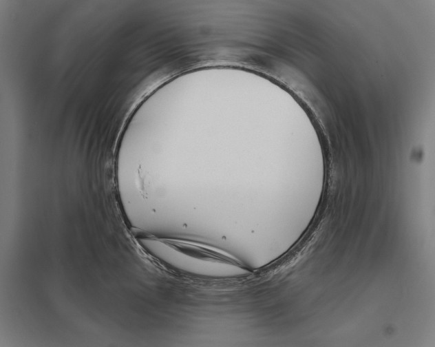 X0000097591145200803280921