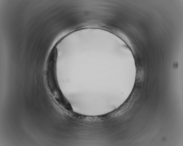 X0000097591146200803280922