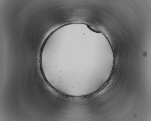 X0000097591149200803280922