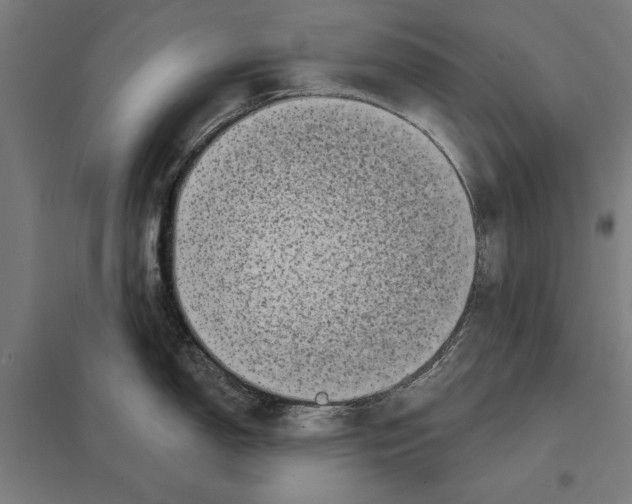 X0000097591150200803280922