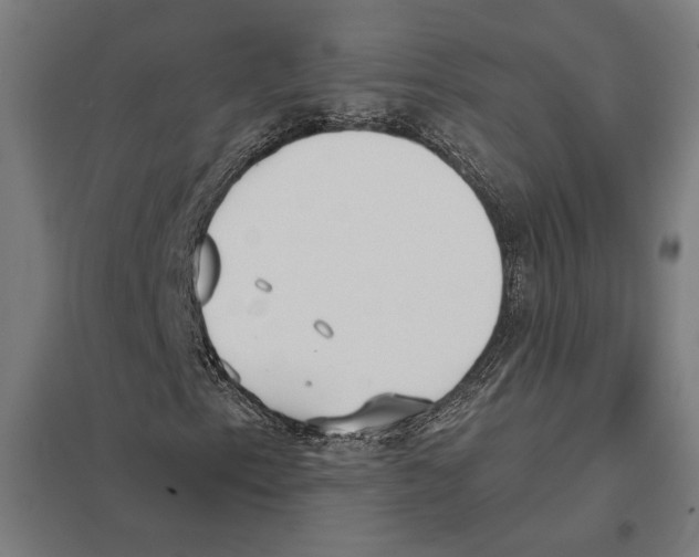 X0000097591153200803280921