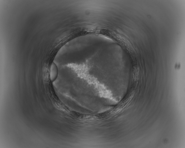 X0000097591154200803280921