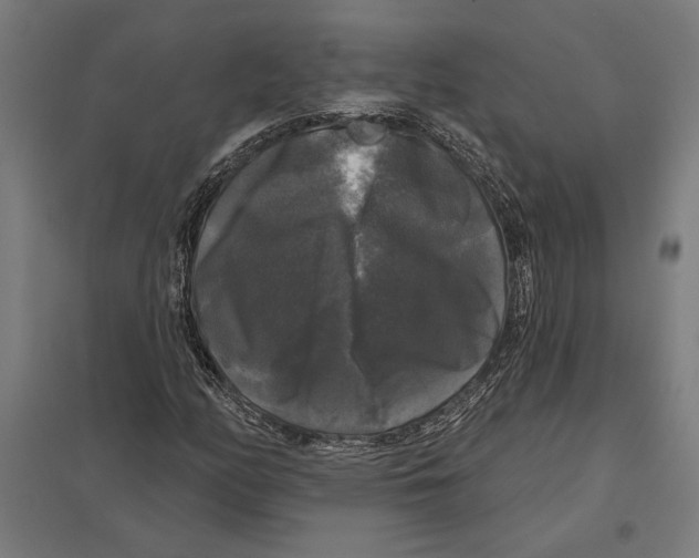 X0000097591158200803280921