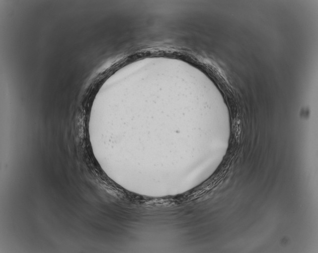 X0000097591159200803280921