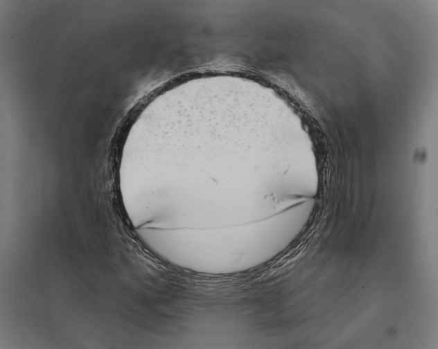 X0000097591160200803280921