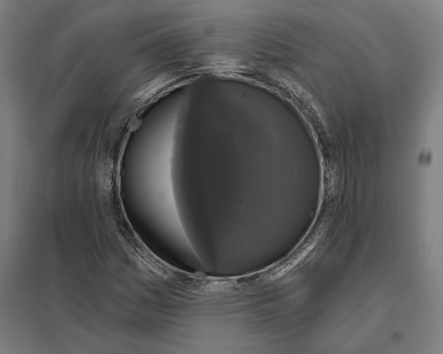 X0000097591161200803280921