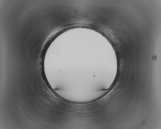 X0000097591164200803280921