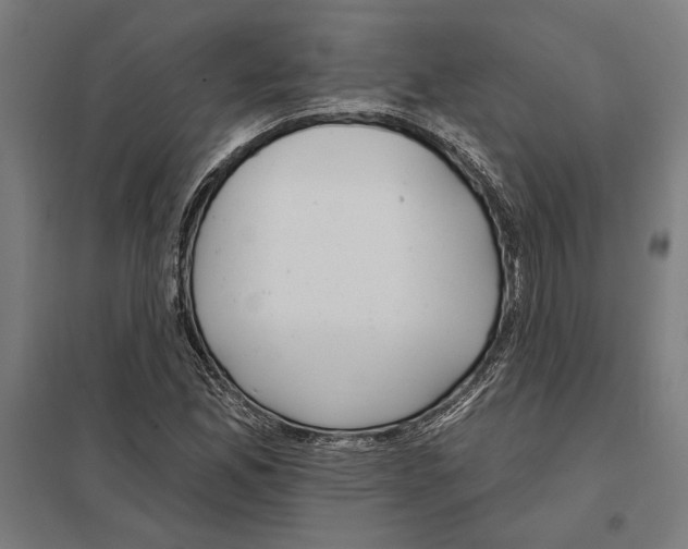 X0000097591165200803280921