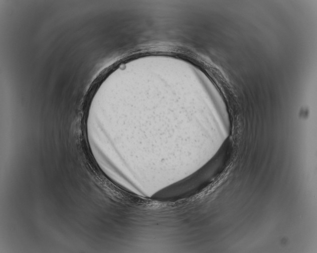 X0000097591166200803280921