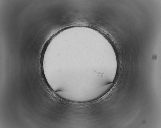 X0000097591168200803280921