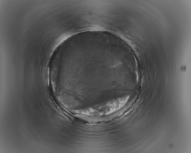 X0000097591171200803280921