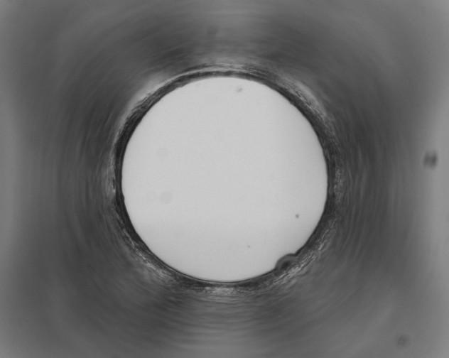 X0000097591172200803280920