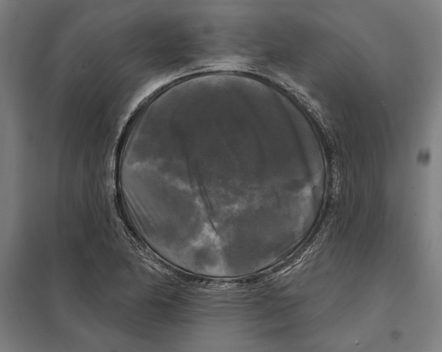 X0000097591174200803280920