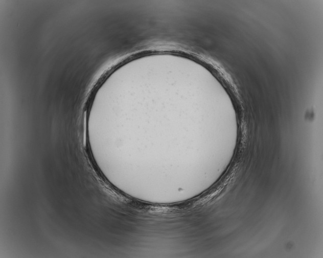 X0000097591175200803280920